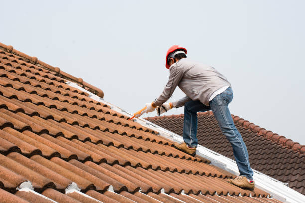 Best Roof Coating and Sealing  in Rural Hall, NC